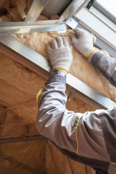 Best Commercial Insulation in Glandorf, OH